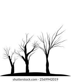 Silhouette dead tree or dry tree on white background with clipping path