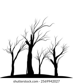 Silhouette dead tree or dry tree on white background with clipping path