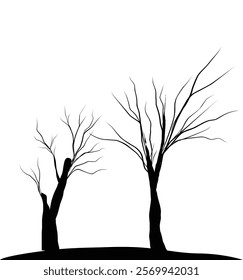 Silhouette dead tree or dry tree on white background with clipping path