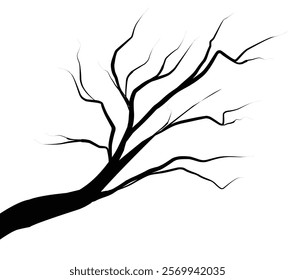 Silhouette dead tree or dry tree on white background with clipping path