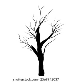 Silhouette dead tree or dry tree on white background with clipping path