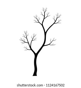 Silhouette of dead tree isolated on white background. Black and white. vector illustration. Naked trees.