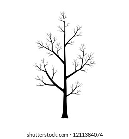 Silhouette of dead tree isolated on white background. Black and white. vector illustration.
