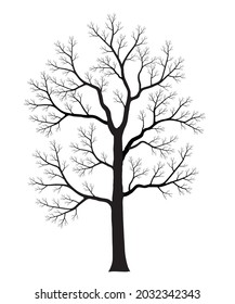 Silhouette of dead tree isolated on white background. Black and white. vector illustration.