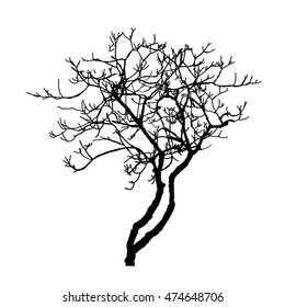 silhouette dead tree, natural horror plant sign, isolated vector illustration on white