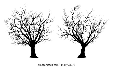 silhouette dead tree on a white background