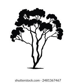 Silhouette of deciduous bushes of willow trees. black illustration