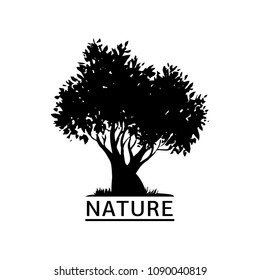 Silhouette of a deciduous oak tree or willow tree with a multitude of brittle branches with a thick trunk and a lush crown. Hand-drawn vector logo illustration.
