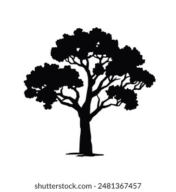 Silhouette of a deciduous Poplar tree. black illustration