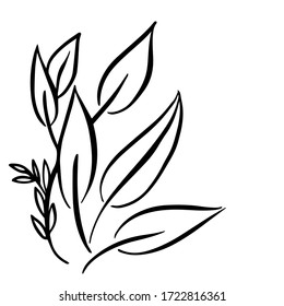 Silhouette of decorative leaf. Vector black and white leaves symbol. Design elements perfect for exotic design. Template for text, photo, blog, print.