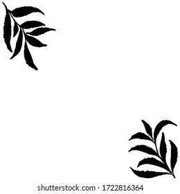 Silhouette of decorative leaf. Vector black and white leaves symbol. Design elements perfect for exotic design. Template for text, photo, blog, print.