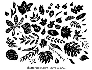 Silhouette of decorative leaves and branches with white veins. Isolated vector floral elements.