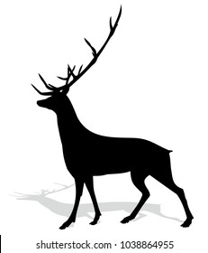 Silhouette of deer.