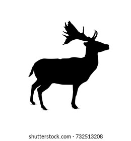 Silhouette of deer.