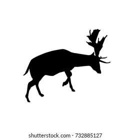 Silhouette of deer.
