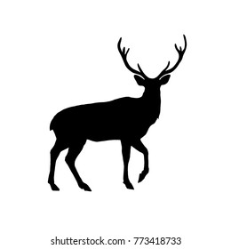 silhouette deer and antler isolated white background   Art vector illustration 