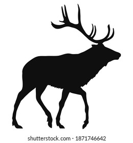 silhouette of a deer with antlers, black shape isolated on white background