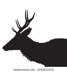 Silhouette of Deer with Antlers Isolated on White Background