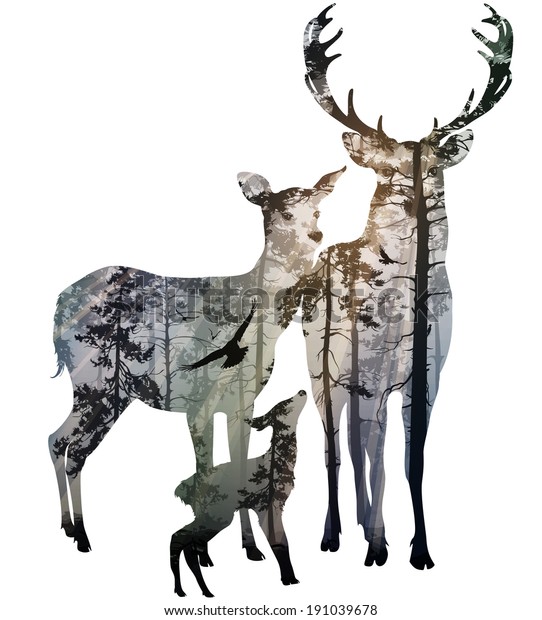 Download Silhouette Deer Family Inside Coniferous Forest Stock ...