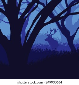 Silhouette deer in the forest in moonlight