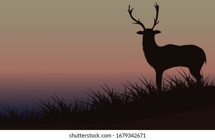 Silhouette of a deer in the grass against a background of a beautiful foggy sky. Beautiful morning landscape. Can be used for travel or banners, poster design, desktop.