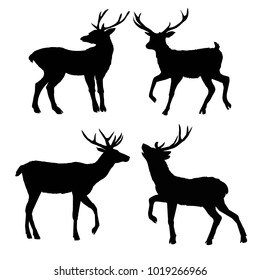 silhouette deer with great antler, animal, vector illustration