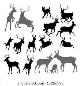 Silhouette Deer including fawn, doe bucks and stag. Also two stags fighting ans a family group set