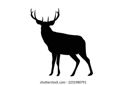 Silhouette Deer, Isolated on White Background. Deer Logo, Template, Illustration Vector.