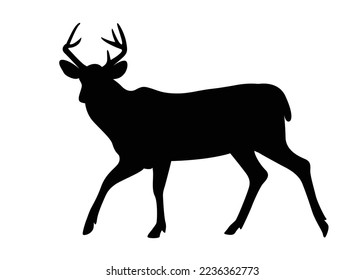 Silhouette Deer, Isolated on White Background. Deer Logo, Template, Illustration Vector.