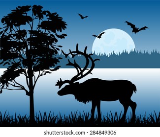 Silhouette of the deer on background of the wild nature