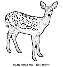 Silhouette of the deer on a white background