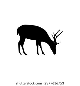 Silhouette of deer on white background