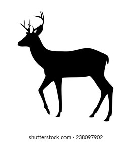 silhouette deer on white background /animal/ vector illustration