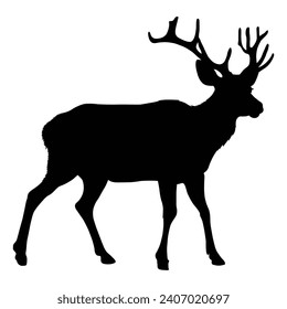 Silhouettenhirsche auf weißem Hintergrund
