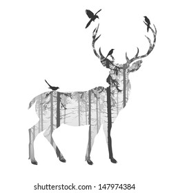 silhouette of a deer with pine forest and birds, black and white colors, white background, vector illustration