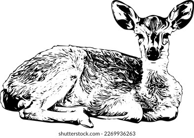 Silhouette of deer, sketch drawing illustration of sitting pose of deer