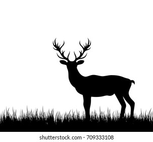 Silhouette Deer, Stag, Reindeer in Forest Grass - Illustration Vector