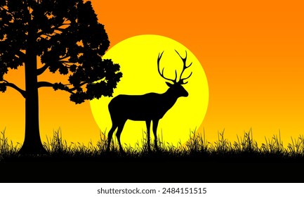 Silhouette of a deer standing in the grass in the evening sunset