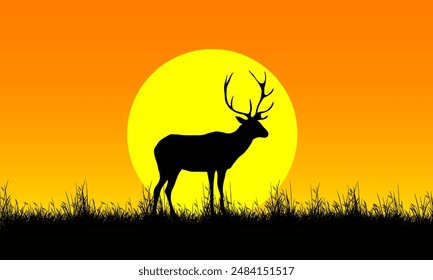 Silhouette of a deer standing in the grass in the evening sunset