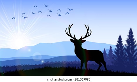 Silhouette of a deer standing on the time of morning. Vector