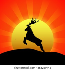 Silhouette of deer at sunset.