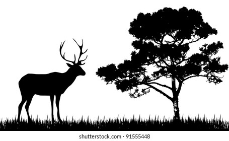 silhouette of  deer and tree