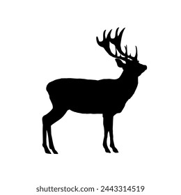 silhouette of deer	- vector illustration