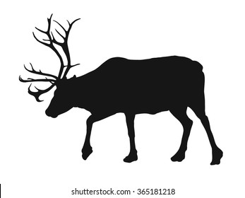 Silhouette of deer. Vector illustration
