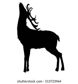 silhouette deer- vector, illustration
