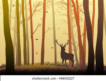 Silhouette of a deer in the woods during autumn season