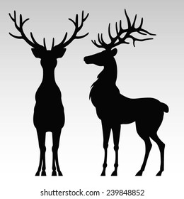 Silhouette of a deers