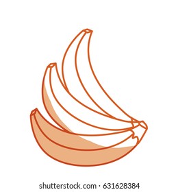 silhouette delicious babanas tropic fruits