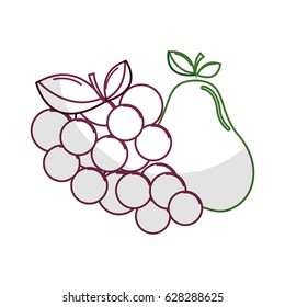 silhouette delicious pear and grape fruit