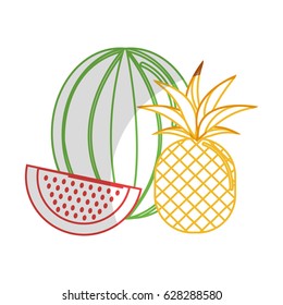 silhouette delicious watermelon fruit with one slice and pineapple